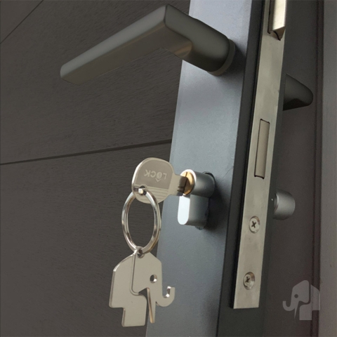 Elephant Forte Zauntor WPC anthrazit-Rahmen anthrazit 90x180cm inkl. Beschlag