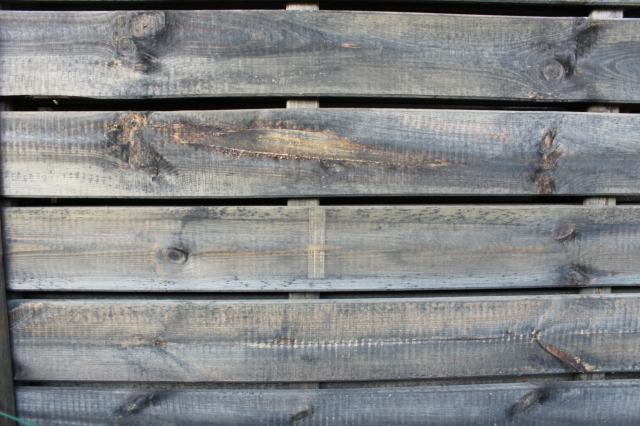 Zaun Sina 51203 Kiefer kdi grau mit Gitter 180x180cm