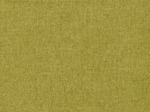 Niehoff Design-Armlehnstuhl green