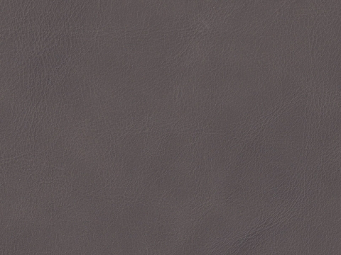 Niehoff Capri Schwingstuhl Edelstahl Prisma grau