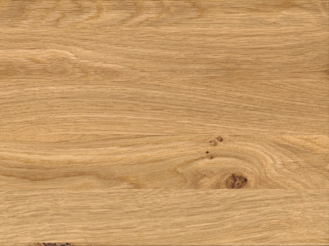 Niehoff Oak Edition Bank Wildeiche Edelstahl geb�rstet 160cm