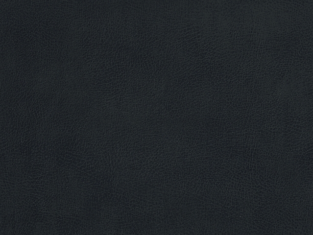 Niehoff Minimax Schwingstuhl Edelstahl, Bogota anthrazit