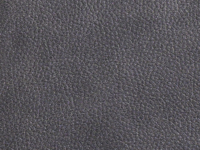 Habufa Leon Schwingstuhl Anthrazit