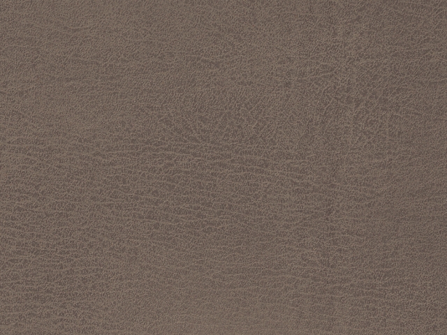 Niehoff Top-Chairs Polsterstuhl Kernbuche, Microfaser Campo savannah