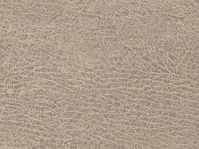 Niehoff Top-Chairs Polsterstuhl Kernbuche, Microfaser Campo natur