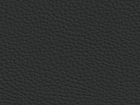 Niehoff Schwingstuhl 6861, schwarz