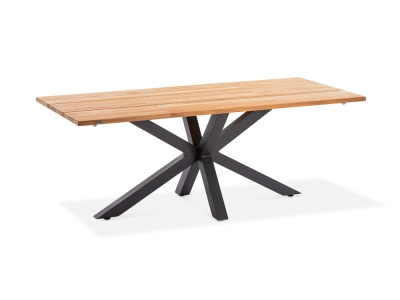 Niehoff Alto Gartentisch 200x95cm Gestell Aluminium anthrazit, Tischplatte Teak