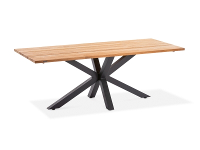 Niehoff Alto Gartentisch 220x95cm Gestell Aluminium anthrazit, Tischplatte Teak