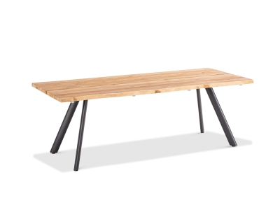 Niehoff Solid Teak Baumkantentisch 280x95cm, Stativprofil Aluminium anthrazit