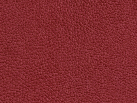 Niehoff Sit Sitzschale Leder rubin