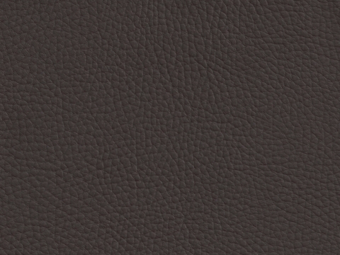 Niehoff Chianti Design-Stuhl Stativgestell Eiche, Leder Napoli mocca