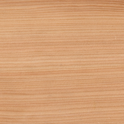 Osmo Schallschutz Forsdal Tor reflektierend 98x205 cm L�rche Universalanschlag