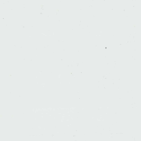 Groja BasicLine Steckzaun schmal Universal Tor 100x180cm wei� DB703