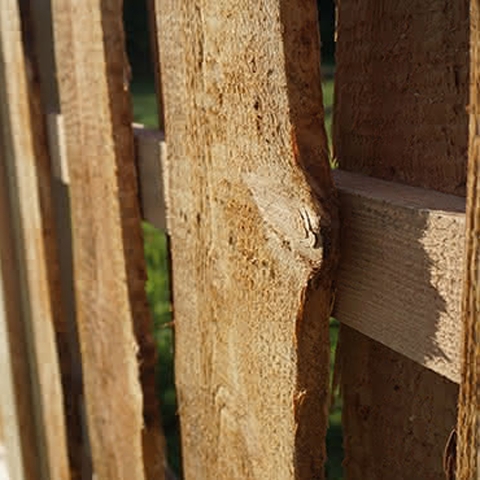 Tor Ponderosa L�rche 180x100cm