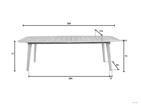 Apple Bee Martinique Dining Tisch 250x110cm Teakholz